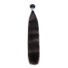 Virgin Human Hair 8-40inch Straight Hair One Bundle