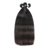 Brazilian Virgin Hair Straight Hair Bundles 3Pcs Natural Color