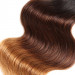 Brazilian Virgin Hair