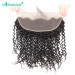 Full Lace Frontal Closures