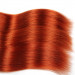 Ombre Virgin Human Hair