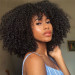 Kinky Curly Afro Wig Human Hair with Bang Glueless Closure Wig