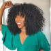 Kinky Curly Afro Wig Human Hair with Bang Glueless Closure Wig