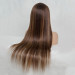 Side Part Highlight Lace Front Wig