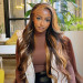 Brown Wig with Highlights 13x4 Lace Front Wig