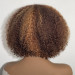 Short Curly Human Hair Wig