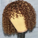 brown highlights wig with bangs
