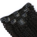 Asteria Kinky Curly Clip in Hair Extensions Human Hair Clip Ins