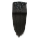 Asteria Human Hair Clip in Extensions Real Virgin Straight Hair Clip Ins