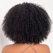 Kinky Curly Afro Wig Human Hair With Bang Glueless Closure Wig