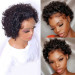 Short curly lace front wigs pixie cut human hair 	