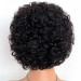 Short Curly Lace Front Wigs Pixie Cut Human Hair