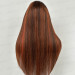 Bright Highlight Layered Straight Lace Front Wig Human Hair