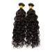 Asteria Hair Water Wave Bundles