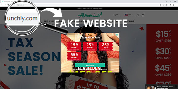 fake site